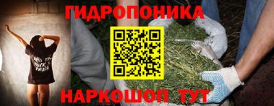 сатива Моздок