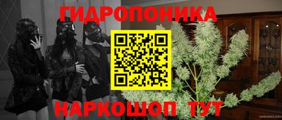трава Можга
