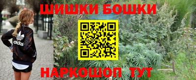 МДПВ Можайск