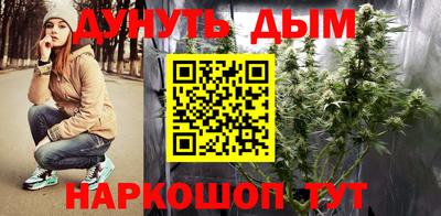 сатива Моздок
