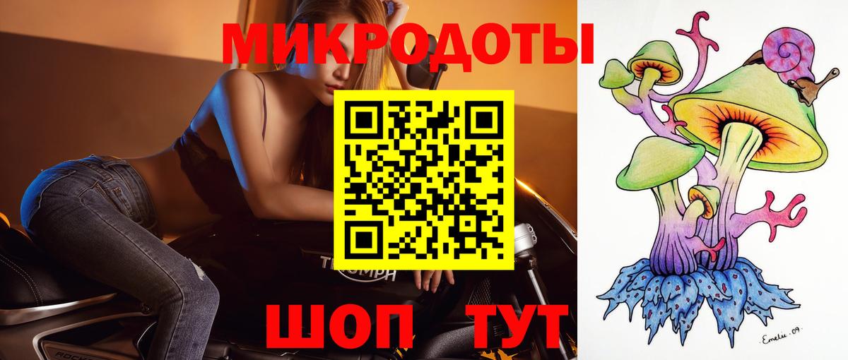 А ПВП Славгород