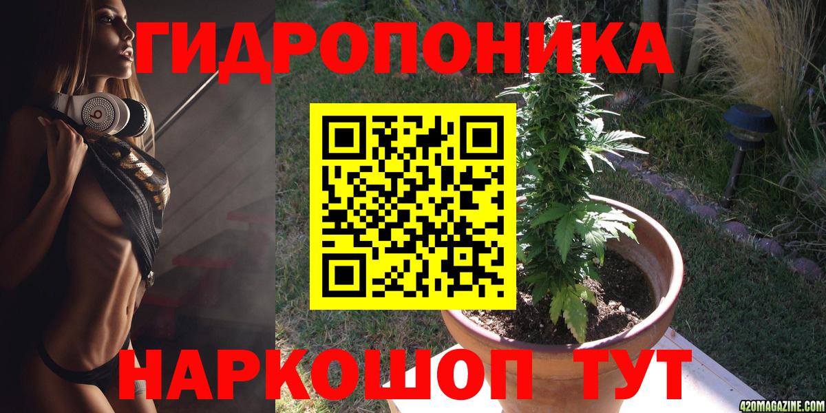 МАРИХУАНА план  Марихуана OG Kush  Канабис LSD WEED  Славгород  Вход с VPN 